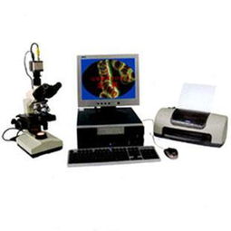 標準型一滴血檢測儀圖片,標準型一滴血檢測儀高清圖片 合肥恒通科技實業公司,