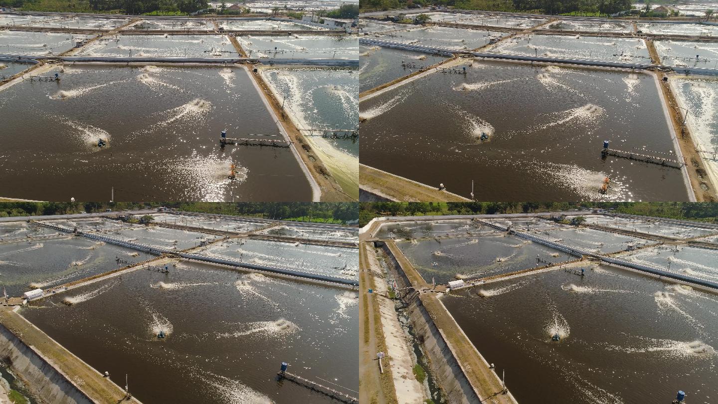 碧波之上 漁歌悠揚——航拍淡水養殖基地的壯美畫卷